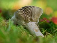 021_2019-10-03 11-33-29 (0520)_Stack30