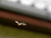 014_2019-07-18 19-11-32 (65)