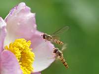 016_2019-07-19 10-19-48 (413)