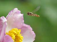 017_2019-07-19 10-19-48 (414)