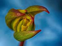 2020-04-07 17-18-04 (0872)_Stack40_NIK-HDR
