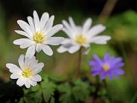 020_2020-03-25 16-16-43