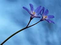 022_2020-03-31 16-51-46 (0399)_Stack40