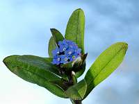 025_2020-03-31 16-57-20 (0304)_Stack40